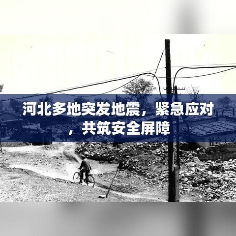 河北多地突发地震,紧急应对,共筑安全屏障