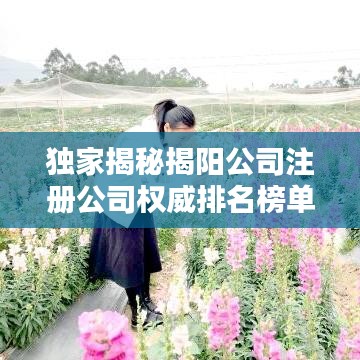 独家揭秘揭阳公司注册公司权威排名榜单,助你快速找到优质服务提供商!