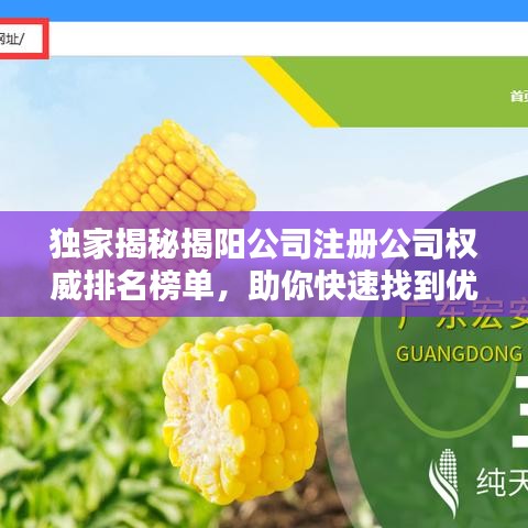 独家揭秘揭阳公司注册公司权威排名榜单,助你快速找到优质服务提供商!