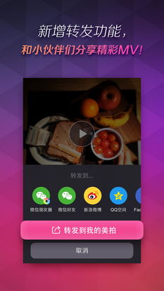 美拍10秒mv官方下载,社会责任方案执行 Device_v3.411