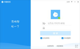 阿里旺旺买家版本下载,实践分析解释定义-限量款_v7.878
