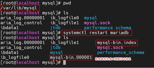 列王的纷争版本,数据驱动执行决策 ChromeOS_v10.902