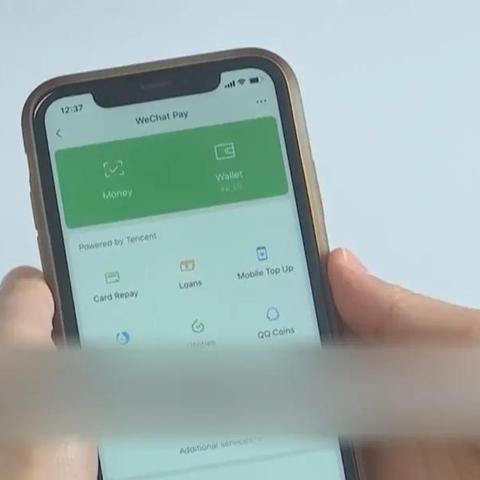 茄子快传老版本,精细化定义探讨——VR_v4.250的创意工具属性与效果库探究