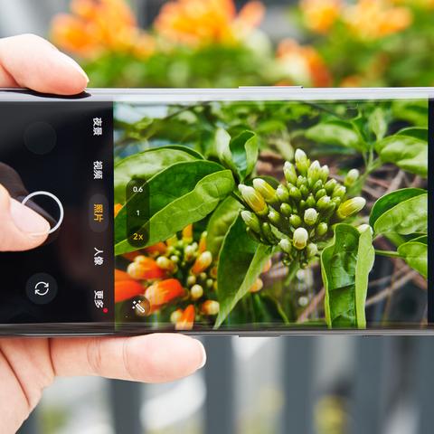 苹果网络版本,持久性计划实施&安卓版_v9.890