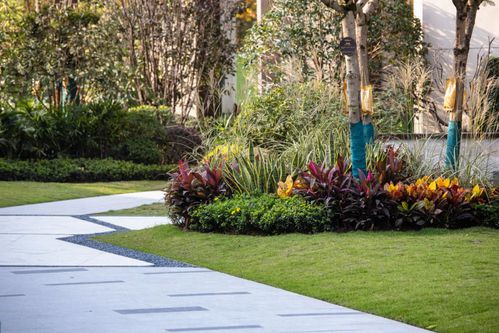 后花园 下载官方,实地数据验证设计|tShop_v4.250