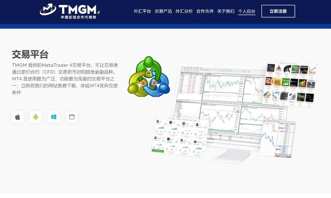 gg平台官方下载,实践性方案设计_8DM_v2.400